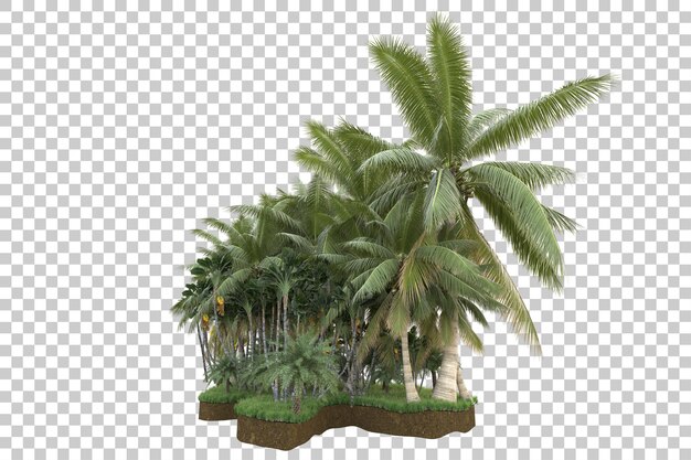 Tropical island isolated on transparent background 3d rendering illustration