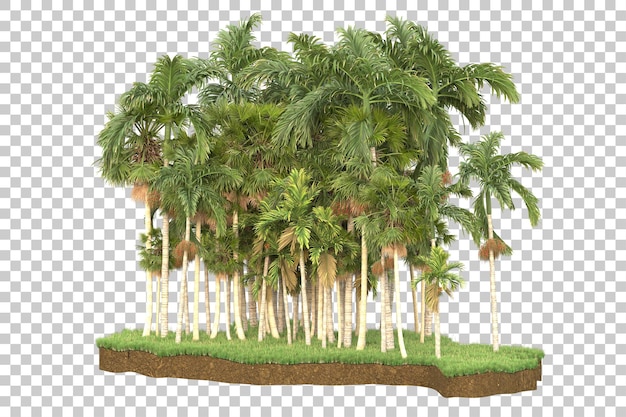 Tropical island isolated on transparent background 3d rendering illustration