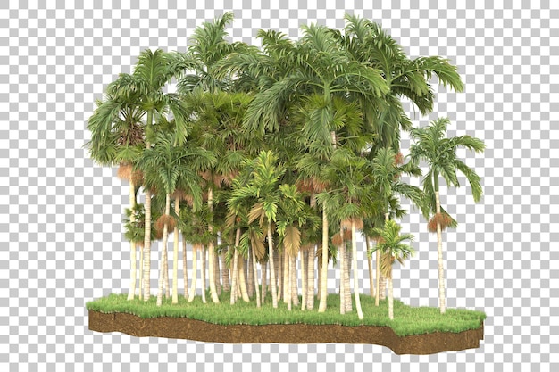 Isola tropicale isolata su uno sfondo trasparente illustrazione di rendering 3d