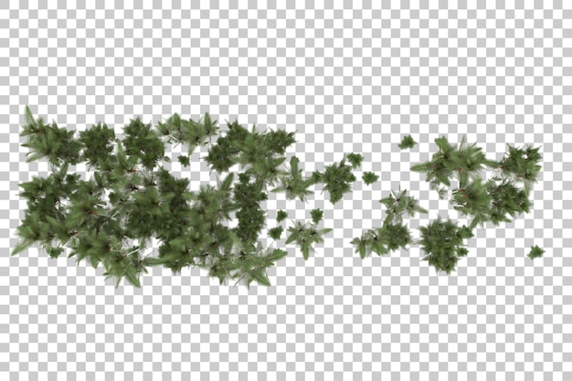 Tropical island on transparent background. 3d rendering - illustration