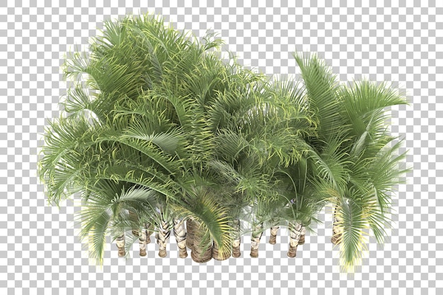 Tropical island on transparent background. 3d rendering - illustration