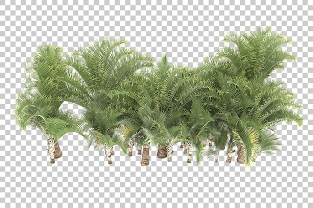 Tropical island on transparent background. 3d rendering - illustration