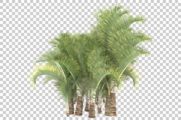 Isola tropicale su sfondo trasparente. rendering 3d - illustrazione