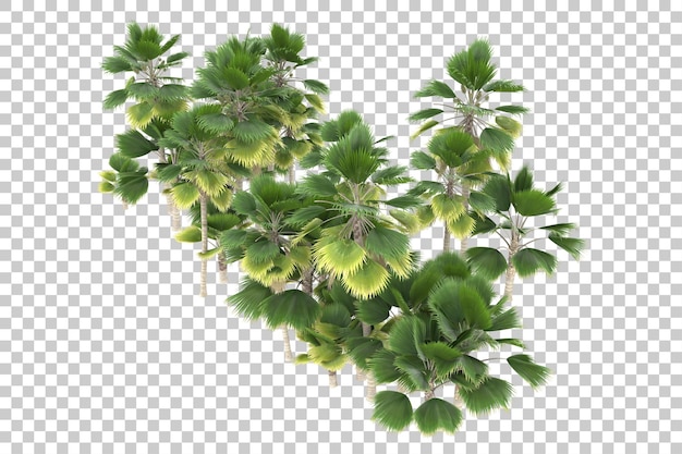 Tropical island on transparent background. 3d rendering - illustration