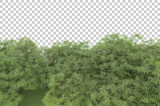 Tropical island on transparent background 3d rendering illustration