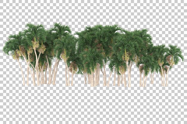 Tropical island with palm trees on transparent background. 3d rendering - illustration