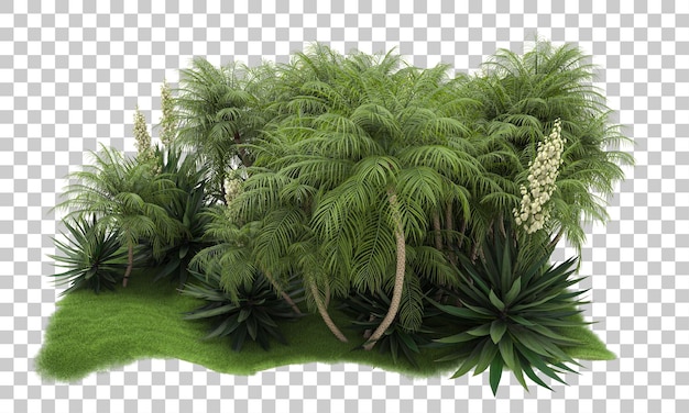 투명 한 배경 3d 렌더링 그림에 열 대 정글