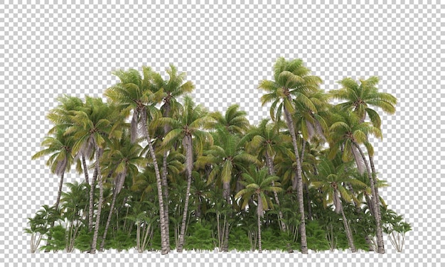 Тропические джунгли на прозрачном фоне 3d рендеринг иллюстрации
