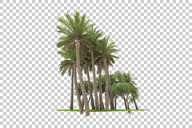 Giungla tropicale su sfondo trasparente 3d rendering illustrazione
