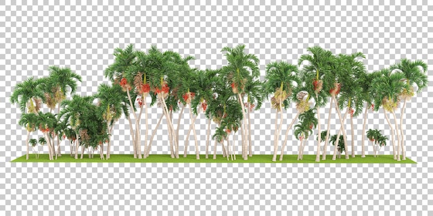 透明な背景の3dレンダリングイラストの熱帯のジャングル