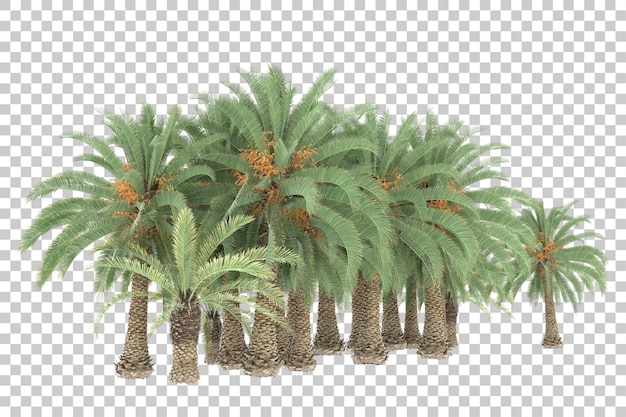 PSD tropical jungle on transparent background. 3d rendering - illustration