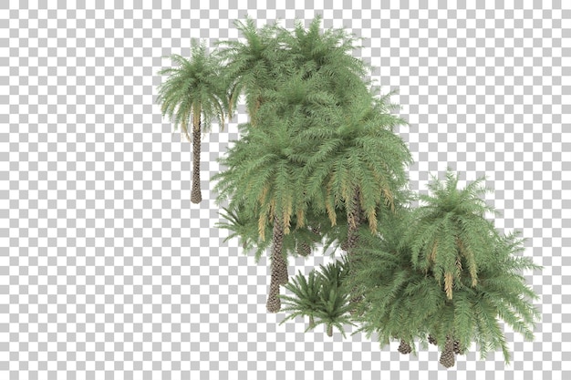 Giungla tropicale su sfondo trasparente. rendering 3d - illustrazione