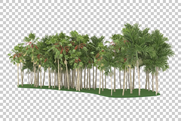 Tropical jungle on transparent background. 3d rendering - illustration