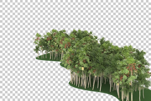 Tropical jungle on transparent background. 3d rendering - illustration