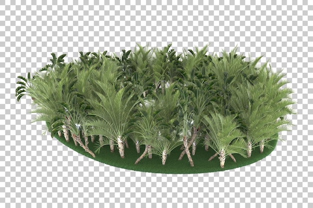 Tropical jungle on transparent background. 3d rendering - illustration