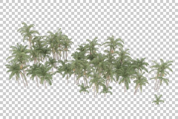 Tropical jungle on transparent background. 3d rendering - illustration