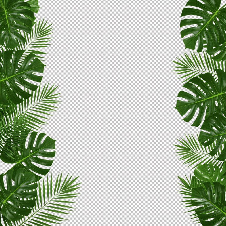 PSD tropical leaf border against a blank white background