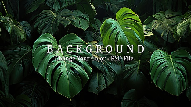 PSD tropical leaves background exotic jungle concept