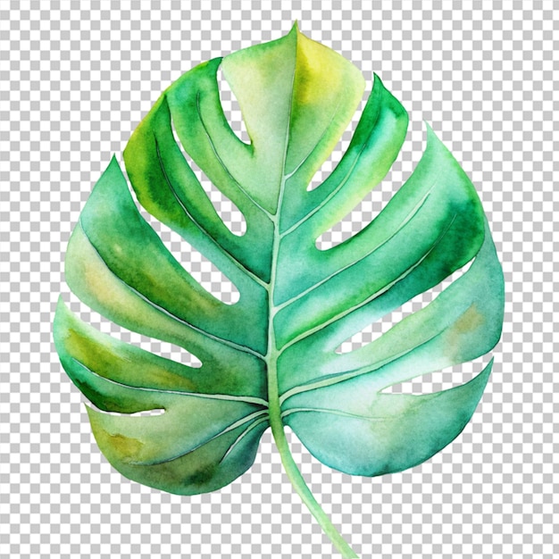 PSD tropical leaves background for zoom