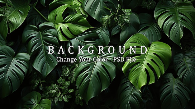 PSD tropical leaves monstera on dark background
