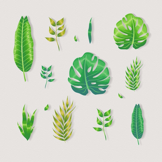 tropical leaves set