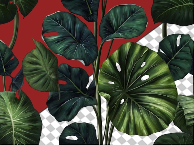 PSD tropical leaves wallpaper on transparent background