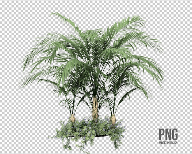 Design mockup isolato foglie di palma tropicali