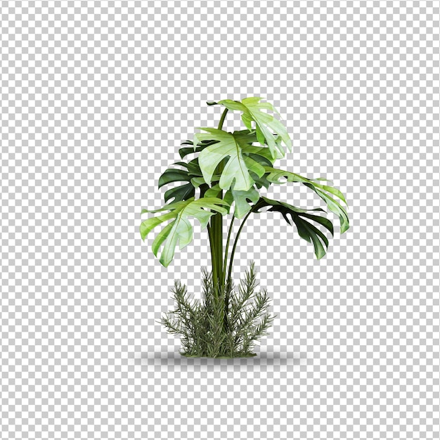 PSD tropical palm leaves isolated mockup design