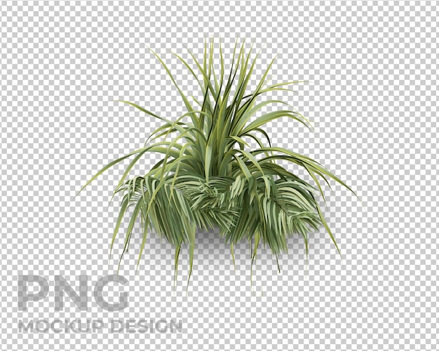 Design mockup isolato foglie di palma tropicali