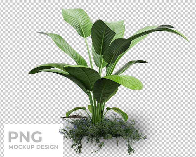 tropical palm leaves isolated mockup design