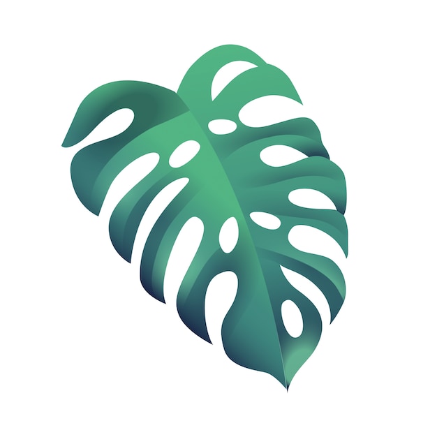 Tropical palm tree leaves isolated