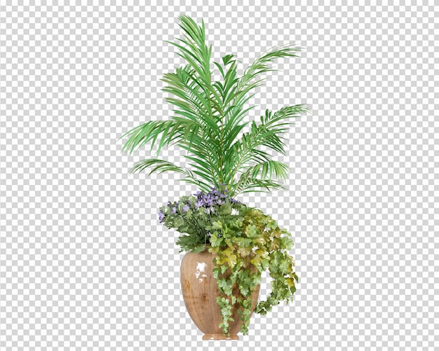 PSD palma tropicale in vaso nel rendering 3d