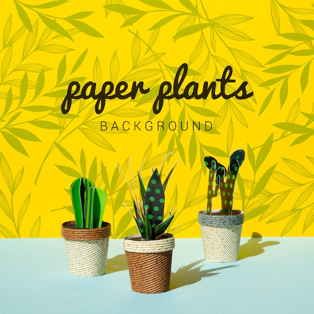 PSD tropical paper cacti plants with pots background