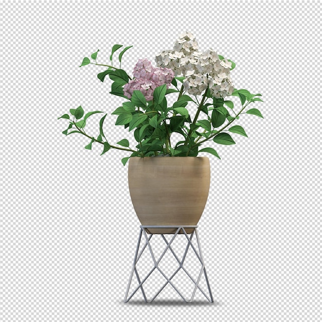 Tropical plant in 3d rendering isolated