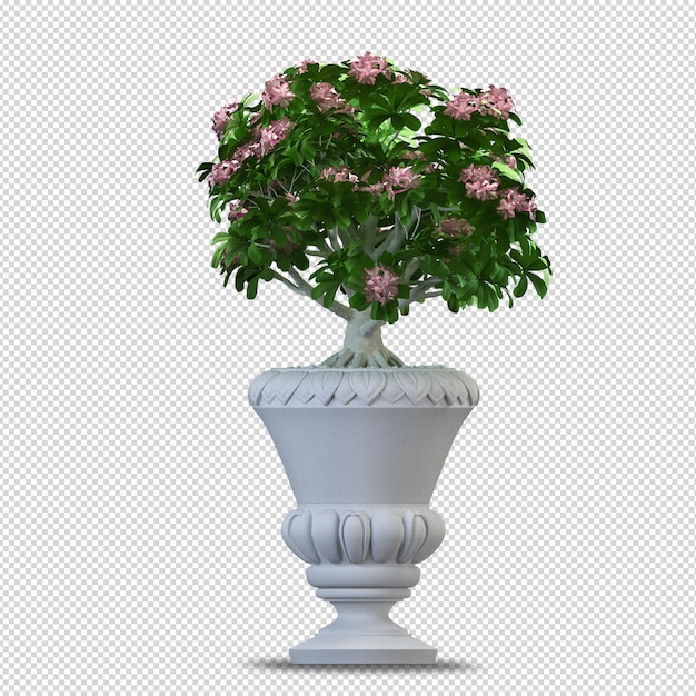 Tropical plant in 3d rendering isolated