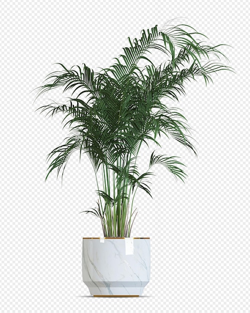 Tropical plant in pot in 3d rendering