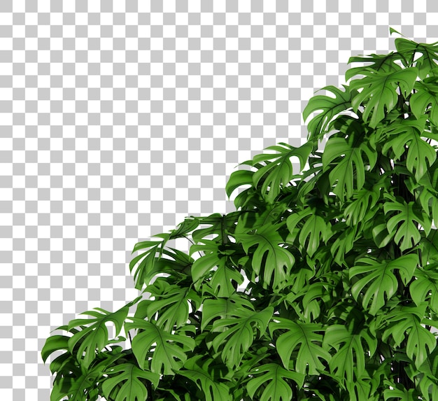 PSD tropical plant shrub bush cutout 3d rendering