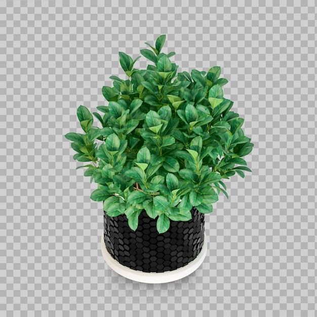 Tropical plant in stone pot in 3d rendering isolated