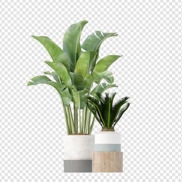 Tropical plants in 3d rendering