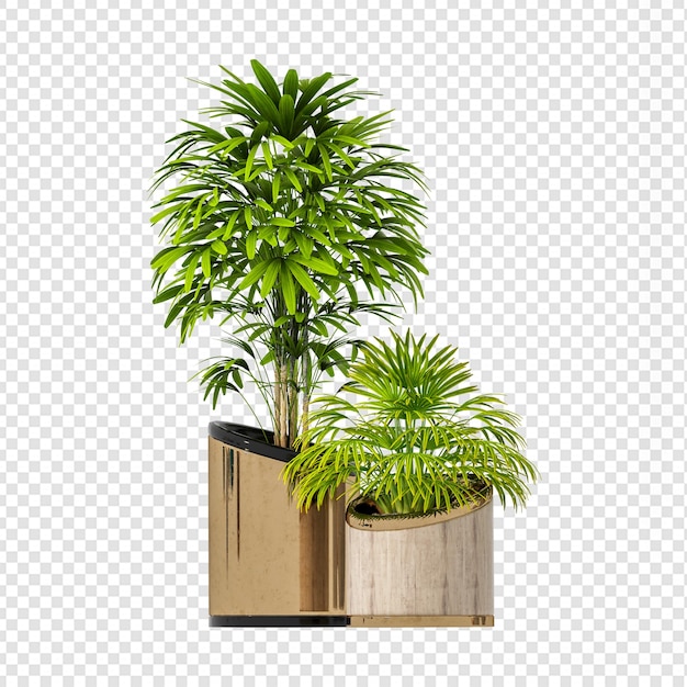 Tropical plants in 3d rendering