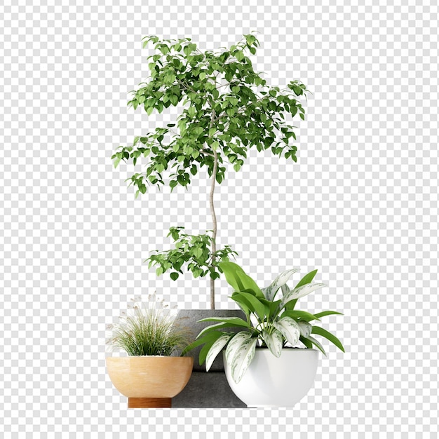 Tropical plants in 3d rendering