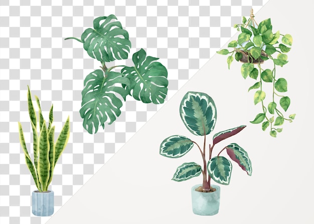 Tropical png akwarelowy zestaw roślin