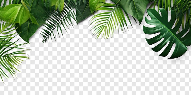 PSD tropical style top view flay lay mock up aesthetic empty on transparency background psd