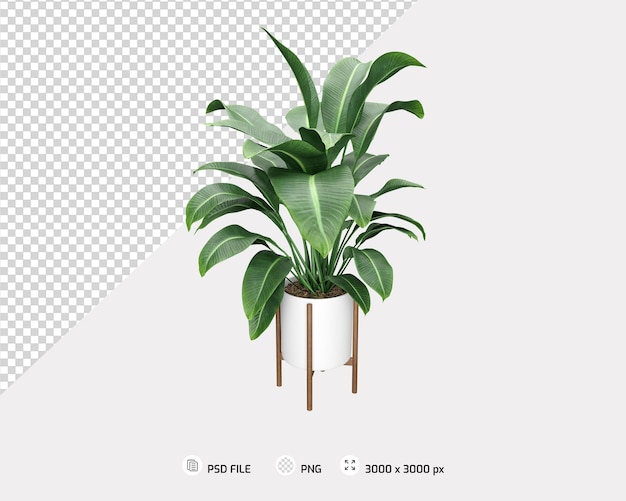 PSD tropical tree with pots