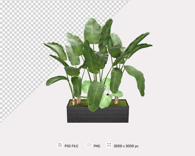 PSD tropical tree with pots