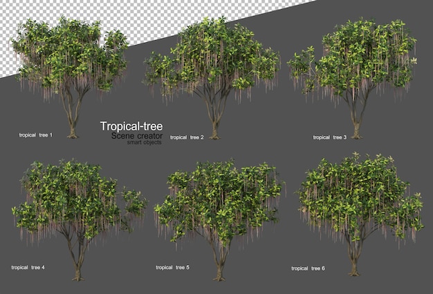 Тропические деревья и растения в 3d-рендеринге