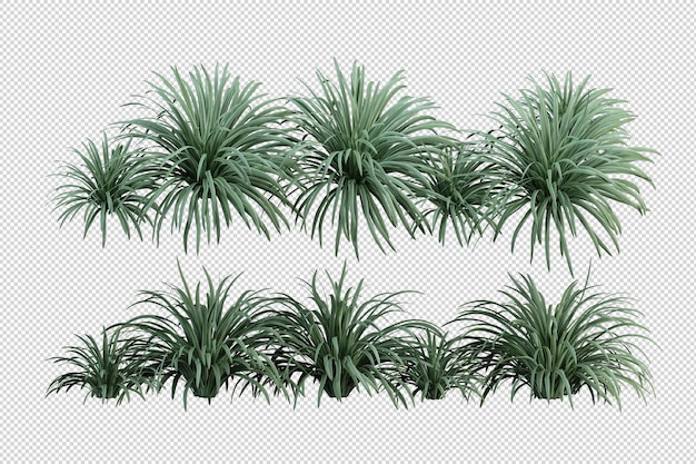 分離された3Dレンダリングの熱帯の木々と花