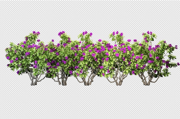 Tropical trees and flowers in 3d rendering isolated