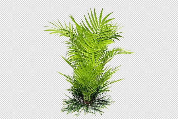 Tropical trees and flowers in 3d rendering isolated