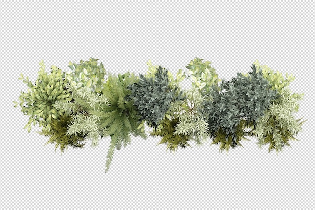 PSD alberi e fiori tropicali nella rappresentazione 3d isolata